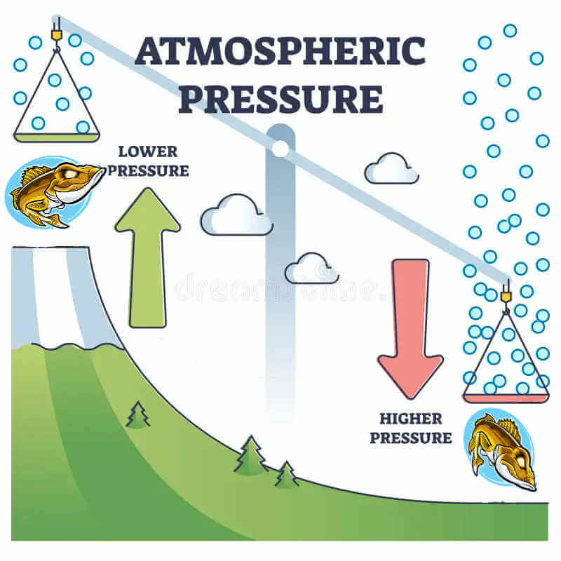 Atmospheric Pressure effect on walleye behavior.
