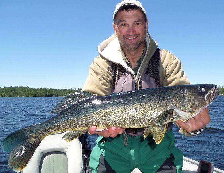 Perfect image of blue walleye in Lady Evelyn Lake.