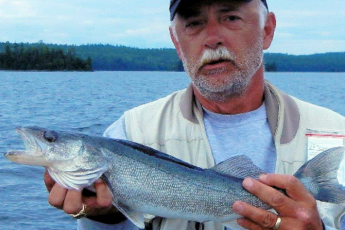 Blue Walleye