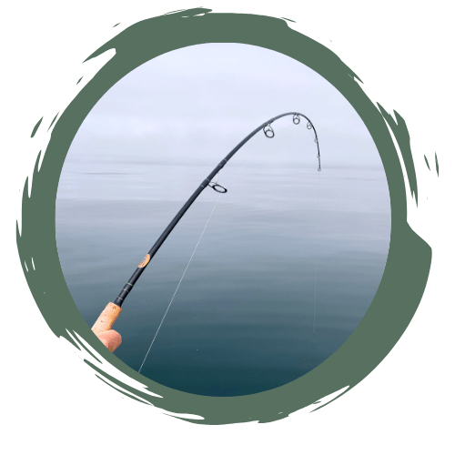 Light tackle fishing rod in action.