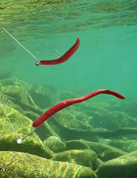 Most Effective Walleye Baits These are my two most effective walleye baits.