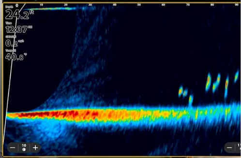 Fish finder screen showing frward facng sonar display.
