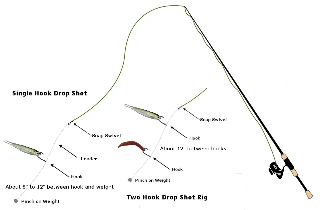 Drop shot rig diagram.