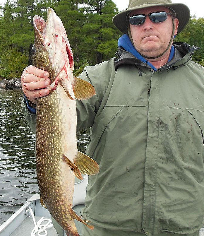 This angler doesn't look all that happy about catching a Lady Evelyn Lake monster pike and then releasing it.