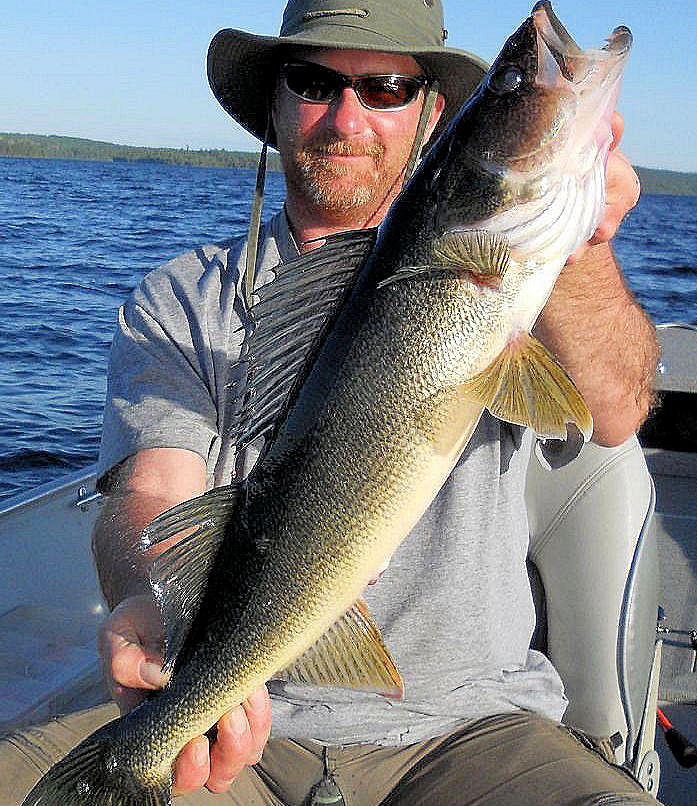 Fisherman showing off another trophy Lady Evelyn Lake Ontario walleye.