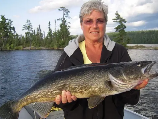 Drop back method worked for the lady catching a large walleye.